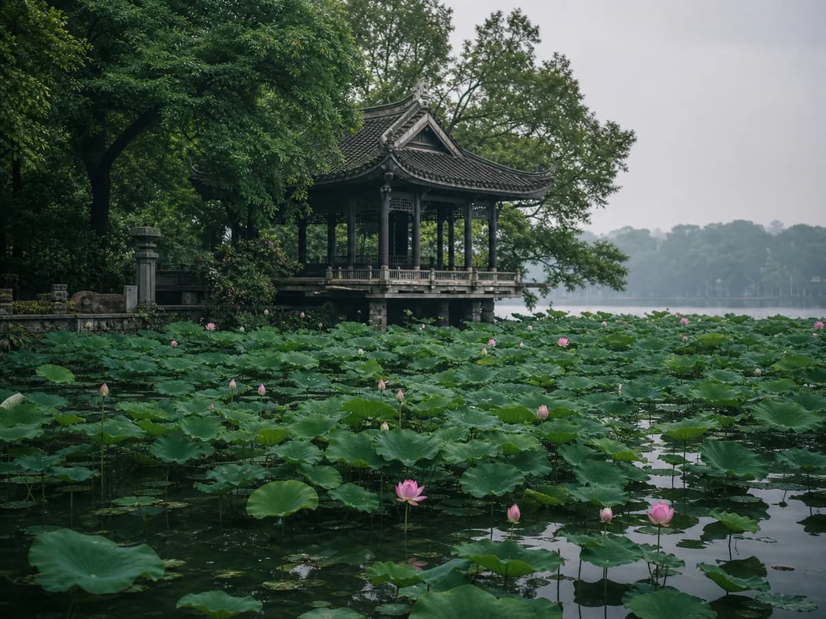 Câu chuyện sen tại Hưng Yên